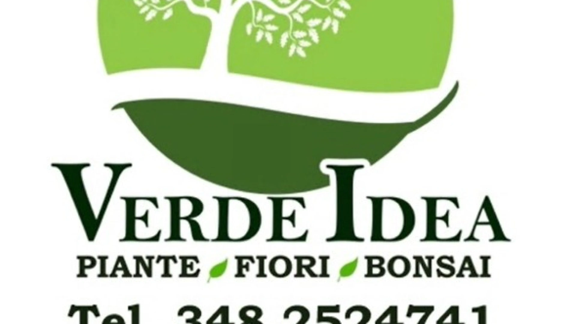 Verde Idea: guarda lo spot ufficiale 2026. Ad Isernia il tuo vivaio di fiducia.